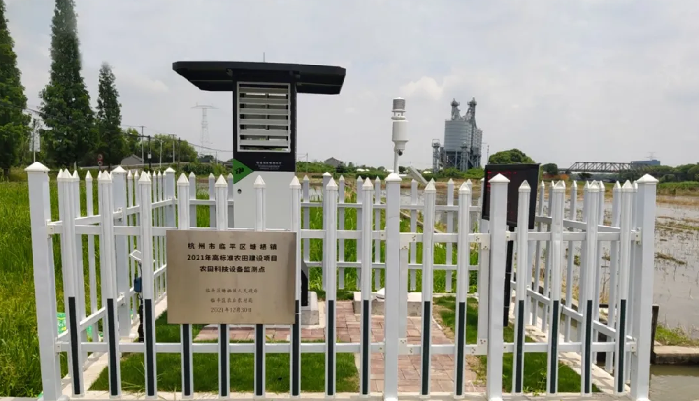 聽說，現(xiàn)在流行這樣種田