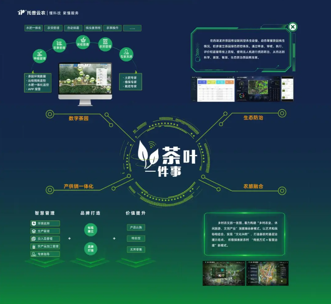 數(shù)字茶園案例 | “數(shù)字”賦能茶產(chǎn)業(yè)，“茶葉一件事”續(xù)寫中國茶發(fā)展新模式