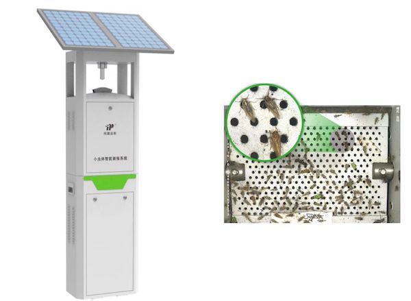 托普云農小蟲體智能測報系統(tǒng)：彌補蟲類測報短板 推動害蟲綠色防控