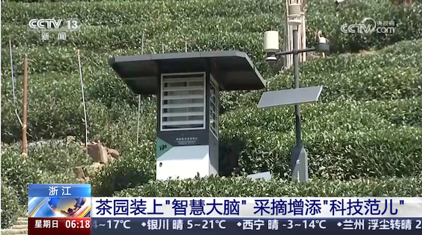 央視、人民網(wǎng)等權(quán)威媒體聚焦西湖龍井：托普云農(nóng)“黑科技”點(diǎn)亮千年茶香智變之路