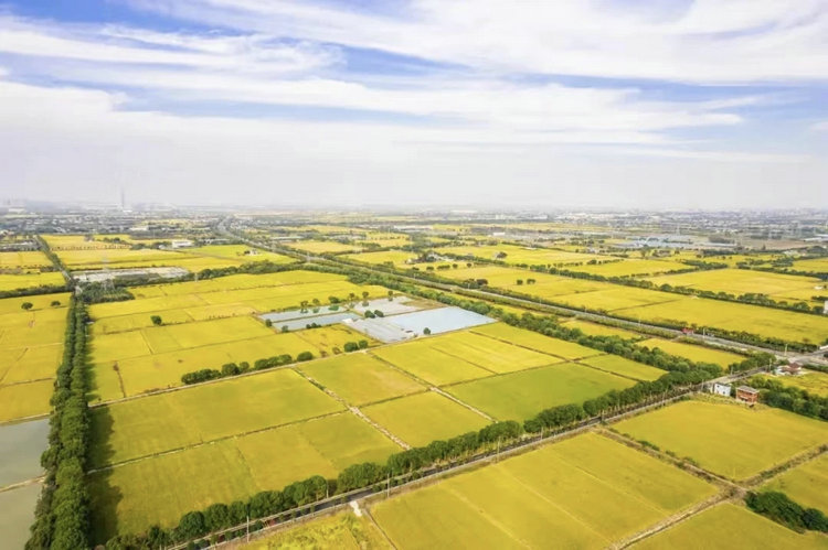 未來農(nóng)場解決方案