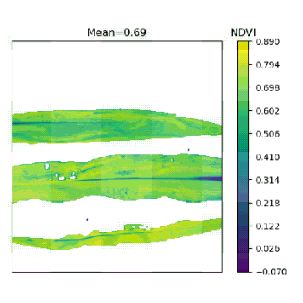 1723096144128285.gif 1723096144128285.gif