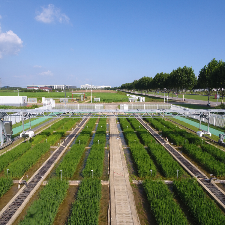 龍門式高通量表型采集分析平臺(tái)（地軌式）