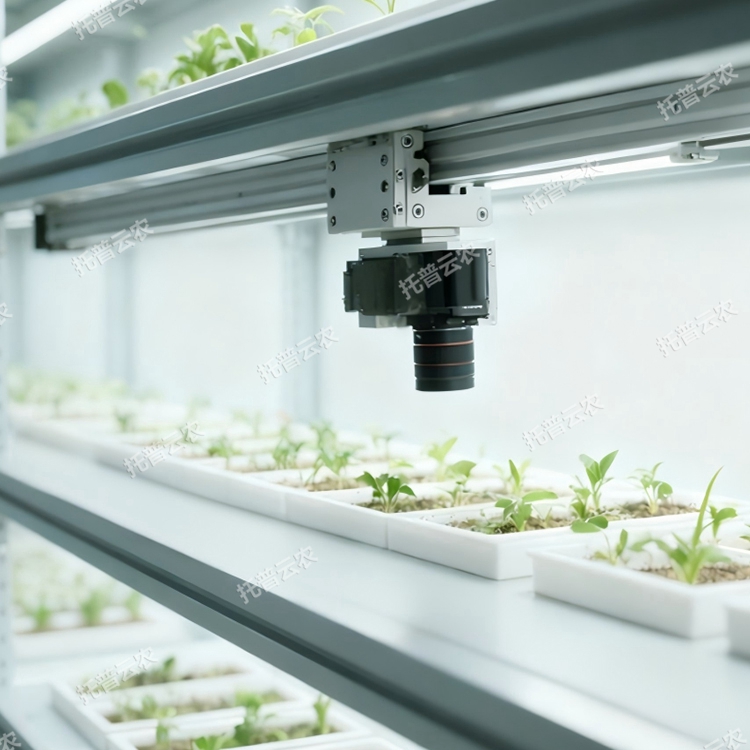 室內(nèi)種子萌發(fā)表型監(jiān)測(cè)系統(tǒng)